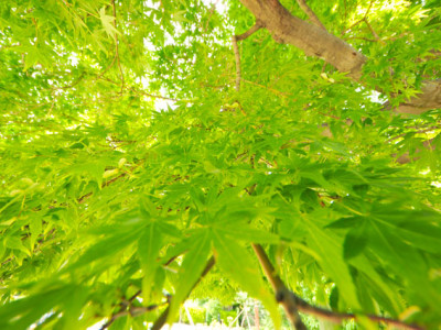 ストレスと感情