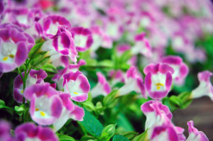 人生変革のヒント