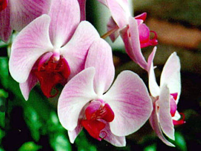 平成２７年１２月２７日ワークショップ