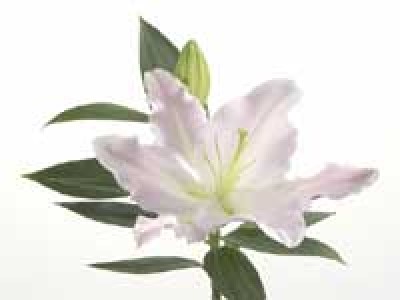 第５回心理カウンセラー養成講座