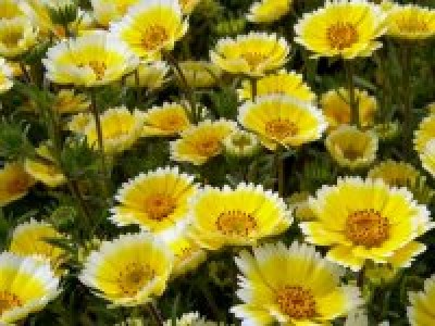 平成28年２月6日くまもとこころ塾