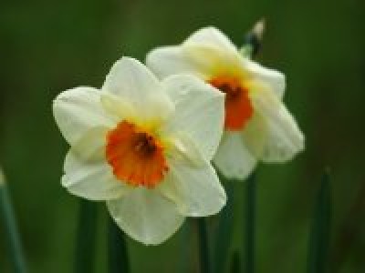 第６回心理カウンセラー養成講座