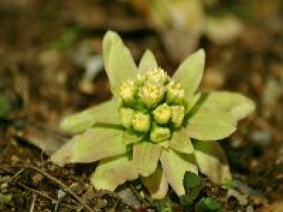 平成２８年２月７日ワークショップ