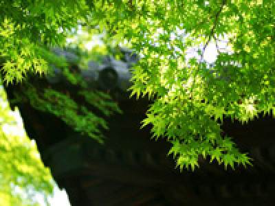 平成２８年２月２２日ひふみ会