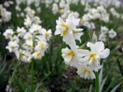 平成28年2月21日くまもとこころ塾