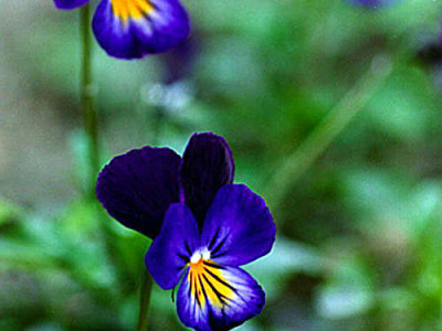 平成２８年３月１９日くまもとこころ塾