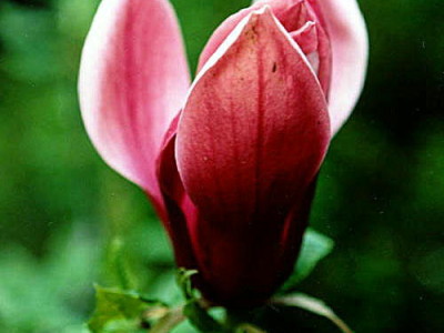 平成２８年３月２７日くまもとこころ塾