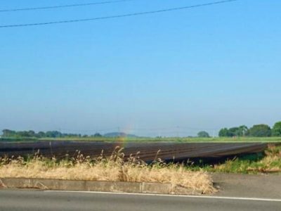 エゴグラム／第32回心理カウンセラー養成講座（2016/8/25開催）