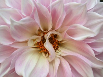 DO-OSHO／悲しみを受け入れられれば（2016/8/27）