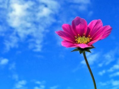 小坊主のつぶやき／心が疲れるその前に…（2016/10/20）