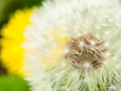 平成28年4月10日／ワークショップ開催！