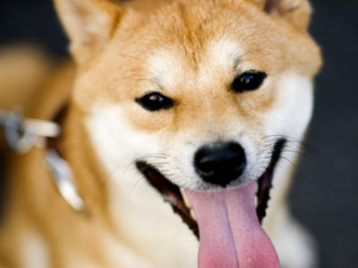 感情を友にする／ひふみ会（2016/8/15開催）