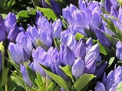 平成28年8月13日(土)／「くまもとこころ塾」を開催しました！！