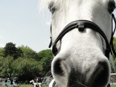 DO‐OSHO（2016/8/19）