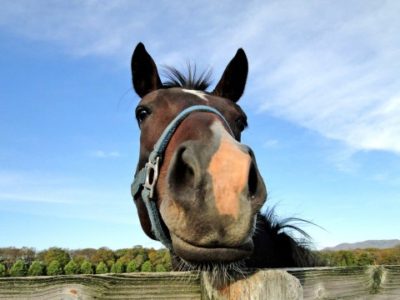 今日のオーサム♪（2016/8/27）