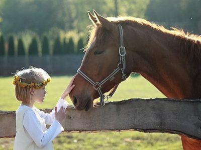 平成28年8月7日㈰／ワークショップを開催しました 🐴