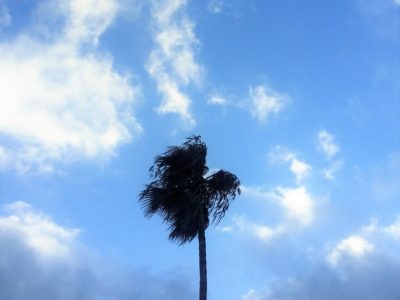 DO-OSHO／幸せと悲しみは同じコインの裏表（2016/9/3）