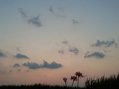 ご隠居のお説教／さあ、今日は人生最期の日だ（2016/9/5）