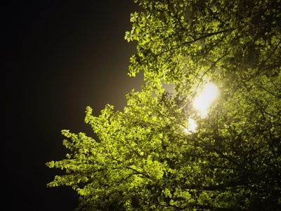 死からのメッセージ ～原因はあなた自身です／ひふみ会（2016/9/26開催）