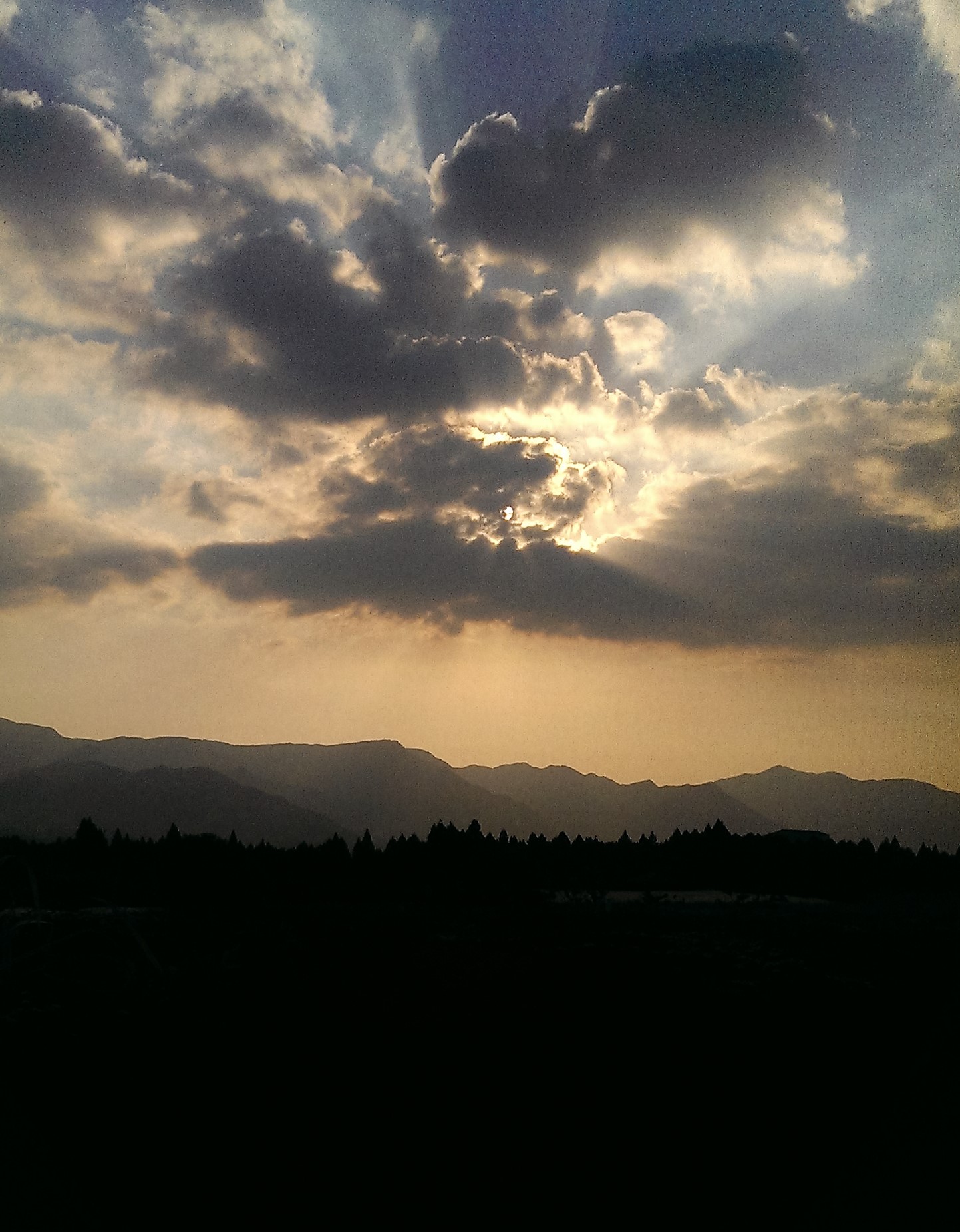 カウンセラー養成講座