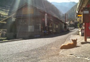カウンセラー養成講座