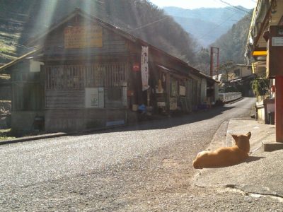 自己実現～自分に焦点を当てて生きなっせ♪／第33回心理カウンセラー養成講座（2016/9/1開催）