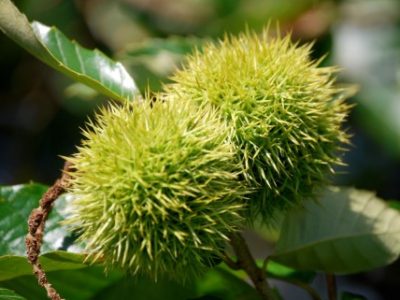 DO-OSHO／見守る者だけが残るまで（2016/9/22）