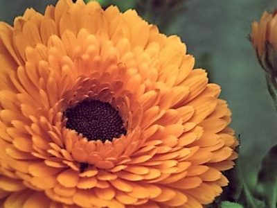 信じています！クライアントの選択は最善／くまもとこころ塾（2016/9/24開催）