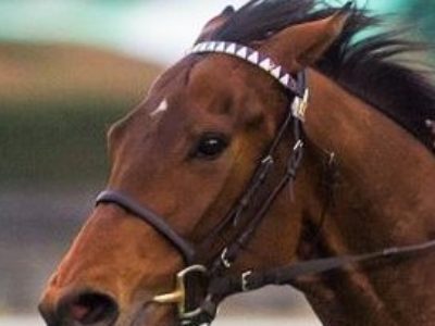 「抵抗」しなはれ！ちゃんと愛してますから♪／くまもとこころ塾（2016/9/10開催）