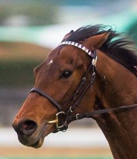 くまもとこころ塾