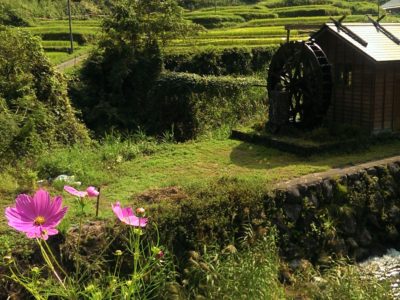 過去生からのメッセージ／ワークショップ（2016/10/9開催）