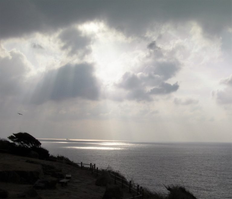 心理カウンセラー養成講座