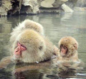 カウンセラー養成講座