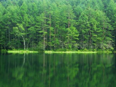 DO-OSHO／唯一の義務は幸せになることだ（2016/11/11）