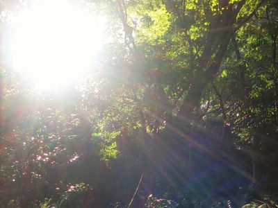 DO-OSHO／身体の神秘（2016/11/9）