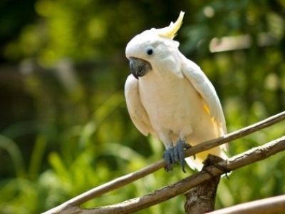 うつ、不安症、パニックの後に９