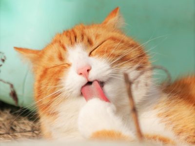 あなたはどうする？何を選ぶ？／ひふみ会（2016/11/7開催）