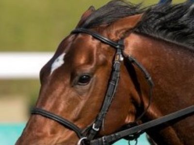 DO-OSHO／すべてが逆さまだ（2016/12/22）