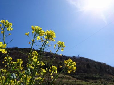 うつ、不安症、パニックの後に４