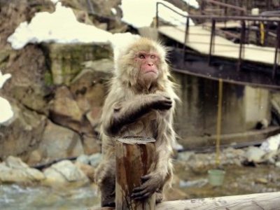 うつ、不安症、パニックの後に15