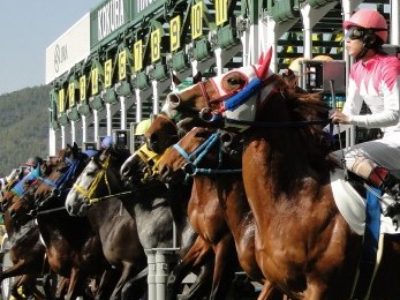 DO-OSHO／手綱を自分自身の手に取るのだ（2016/12/11）