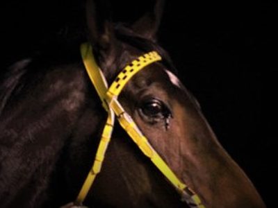 おかげさまで今日も元気にやってます♪／くまもとこころ塾（2017/1/14開催）