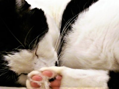 小坊主のつぶやき／あなたのすべてが大切です（2017/1/27）