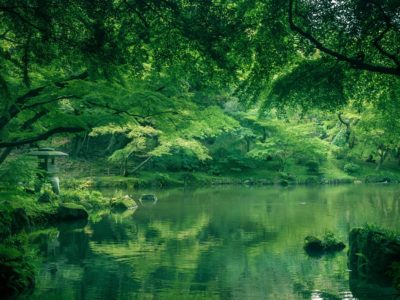 小坊主のつぶやき／感情はミルフィーユ♪（2017/2/23）