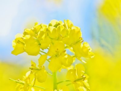 出会いに感謝／くまもとこころ塾（2017/2/25開催）