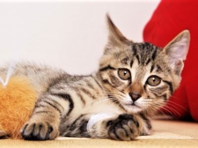 「自由」とは「赦し」である／ひふみ会（2017/2/6開催）