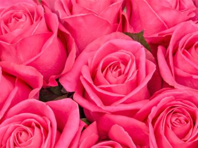 DO-OSHO／身体に耳を傾けなさい（2017/2/18）