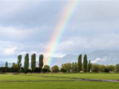 うつ、不安症、パニックの後に16