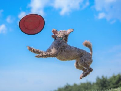 自己創造のプロセス～祈りが自分を創る／ひふみ会（2017/4/3開催）