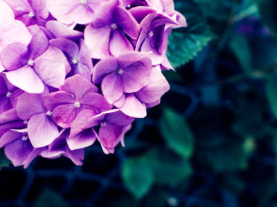 「傾聴トレーニング」を開催しました！（2017/5/20開催）